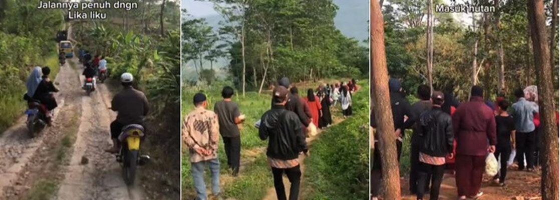 “Viral! Pasangan Pengantin di Banyuwangi Gelar Resepsi di Tengah Hutan Pinus, Undangan Naik Jeep Off-road”